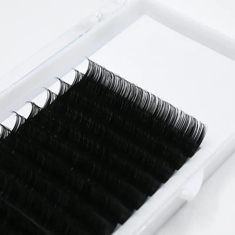 Close-up view of Camellia Eyelash Extensions showcasing their density and quality.