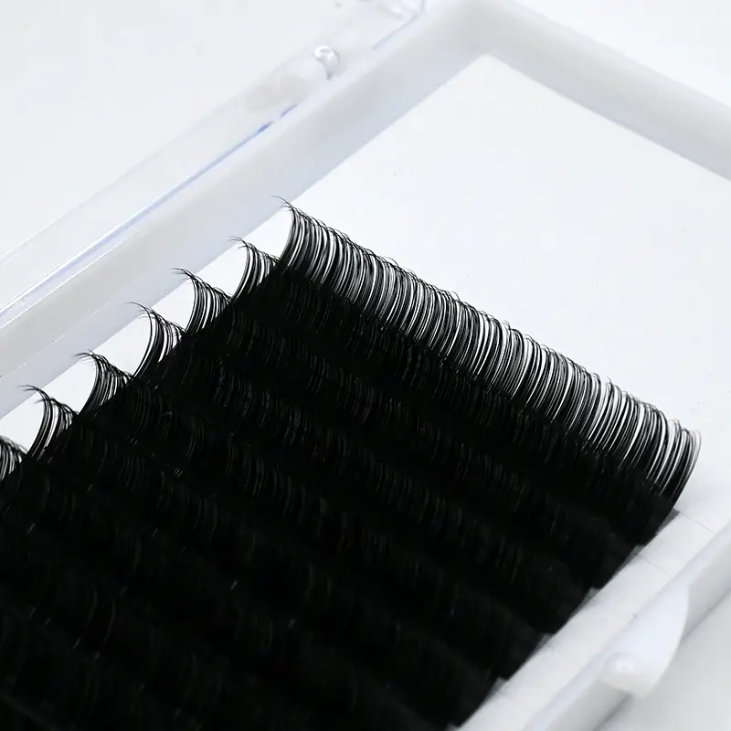 Camellia Eyelash Extensions - Wholesale Lashes